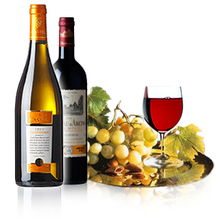 佳釀天成，品味非凡——XX酒業公司簡介
